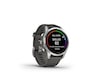 Garmin fenix 7S Pro Solar 42mm GPS (silver/graphite) Smartwatches