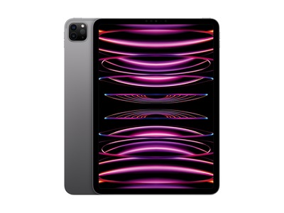 Apple iPad Pro 11″ (2022) 1TB 5G (rymdgrå)