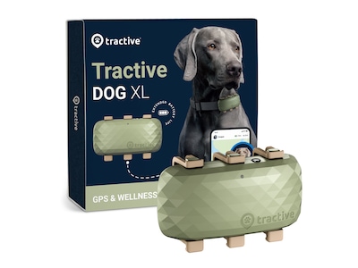 Tractive GPS för hundar – XL (grön)