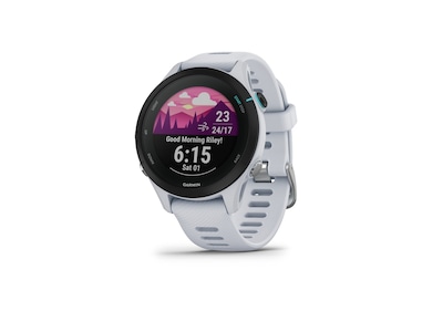 Garmin Forerunner 255S Music 41mm GPS (Whitestone)