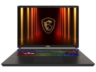 MSI Vector 17 HX AI 17" QHD+ - Vector 17 HX AI A2XWIG-001NEU