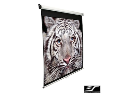 Elite Screen 113″ Manuell duk