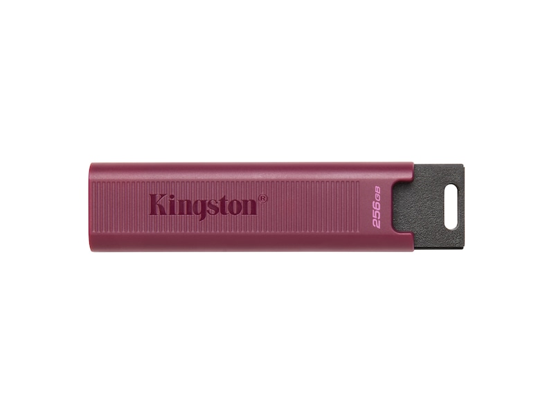 Kingston DataTraveler Max USB 256GB USB-minnen